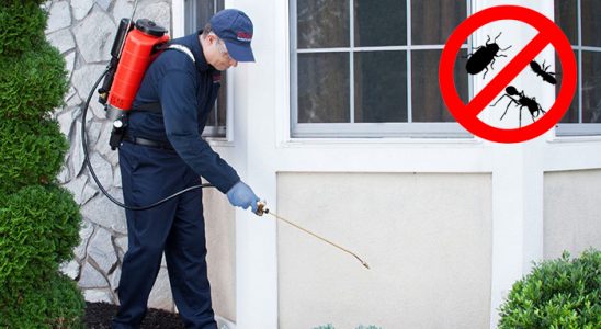 İdil Hamam Böceği İlaçlama böcek ilaçlama ve haşere kontrolü — ilaclama-tr.com